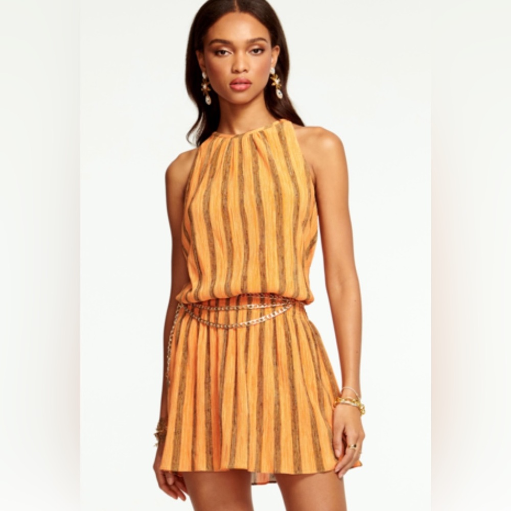 Ramy Brook Exclusive Paris Sleeveless Dress NWT